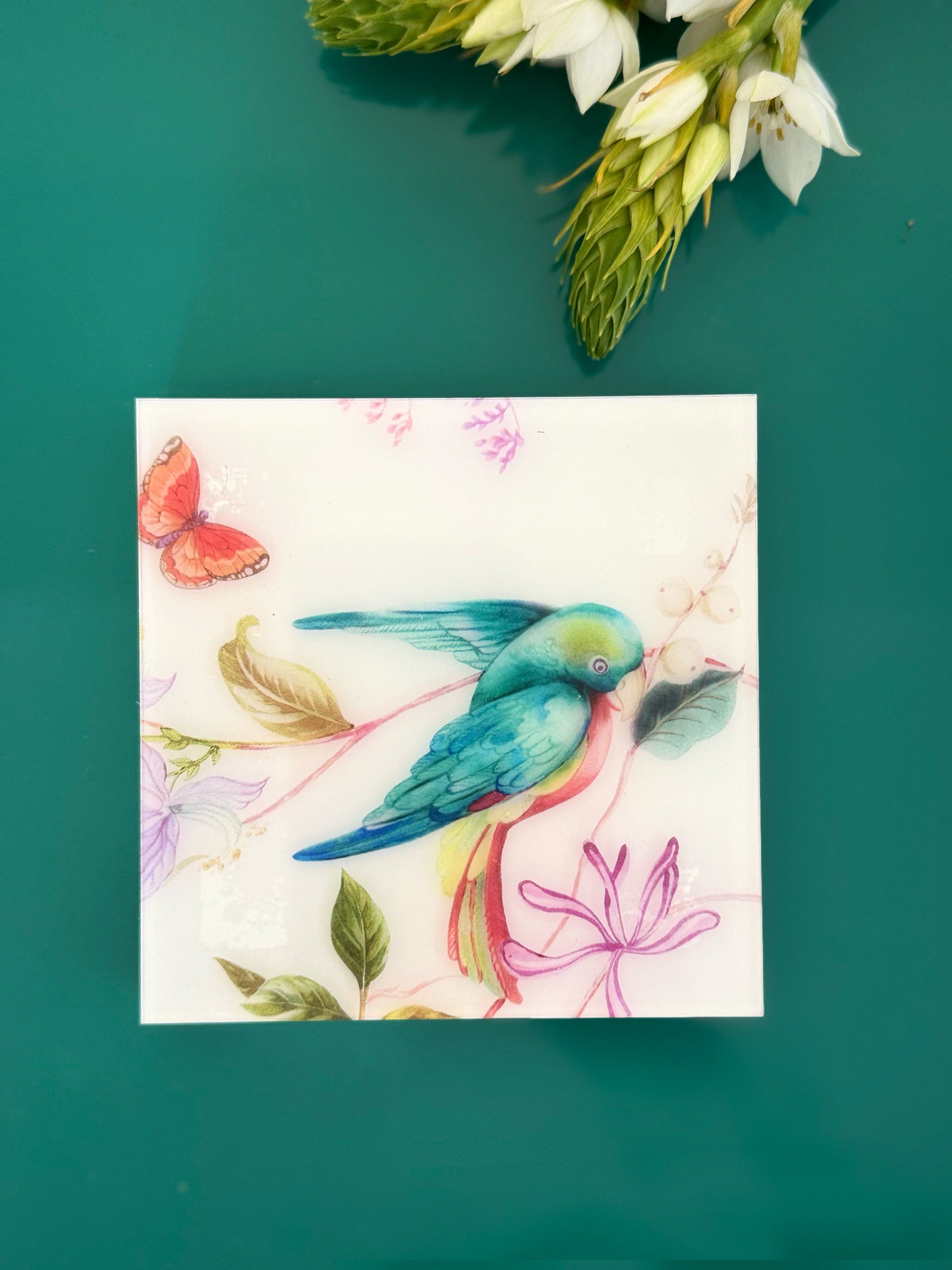 Feathered Dreams Green Coaster