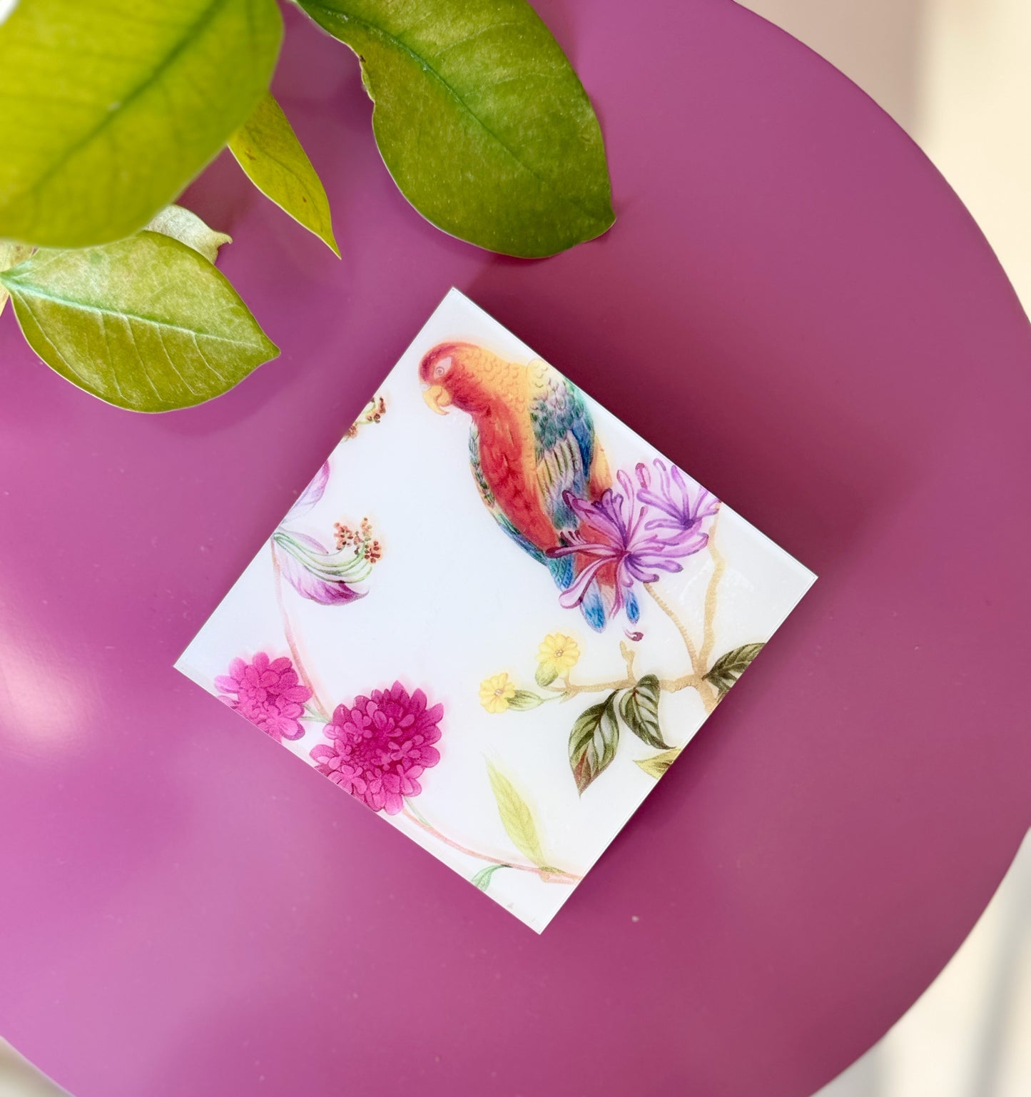 Feathered Dreams Pink Coaster